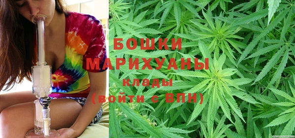 ПСИЛОЦИБИНОВЫЕ ГРИБЫ Алзамай