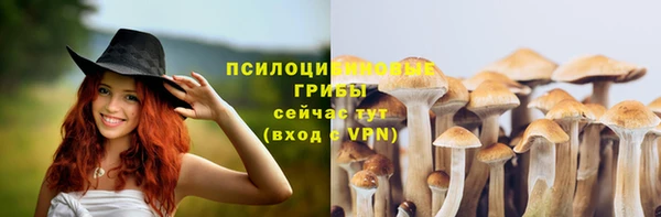 гашиш Арсеньев