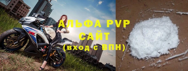 гашик Алексин