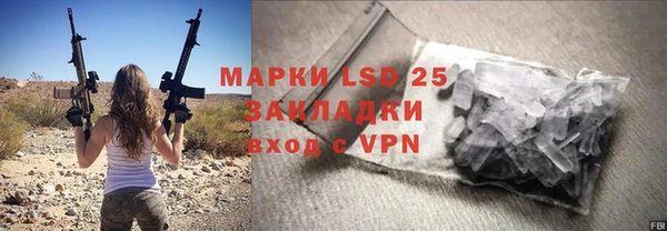 ПСИЛОЦИБИНОВЫЕ ГРИБЫ Алзамай