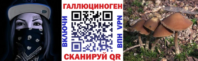 ссылка на мегу ССЫЛКА  Калязин  Галлюциногенные грибы Psilocybe 